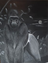Gorilla bei Nacht