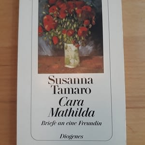 Susanna Tamaro - Briefe an eine Freundin